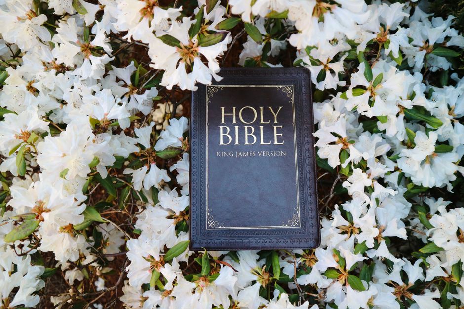 James 2 Meaning and Devotional Study