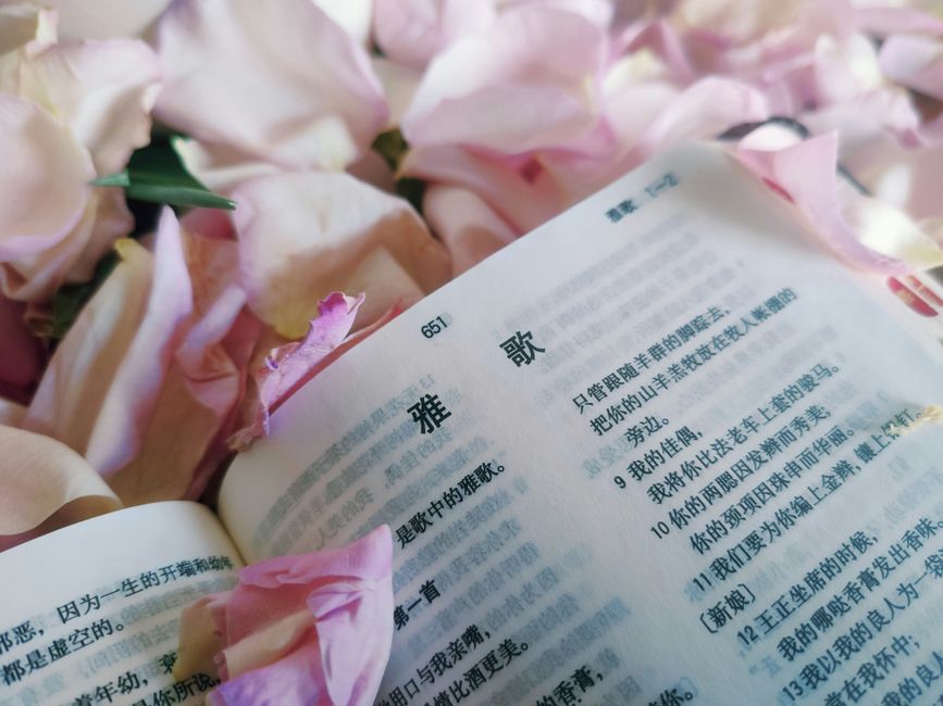 bible verses about lust