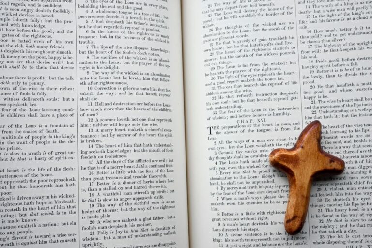 Proverbs 16 Meaning and Devotional Study