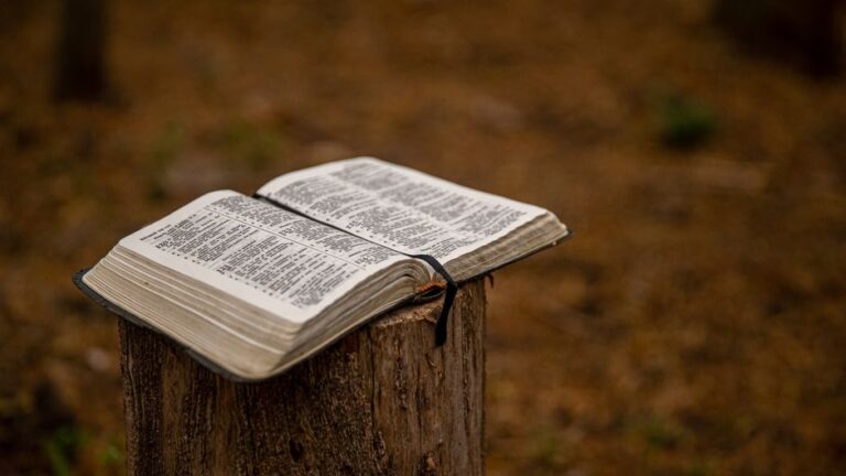 Proverbs 1 Meaning and Devotional Study