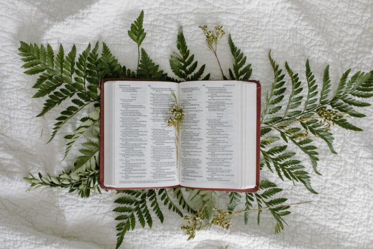 Psalm 27 Explanation and Verse Study