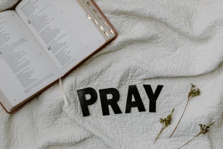 bible verses about envy