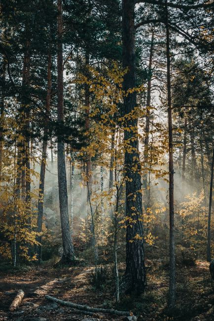 Ecclesiastes 3 Meaning and Devotional Study