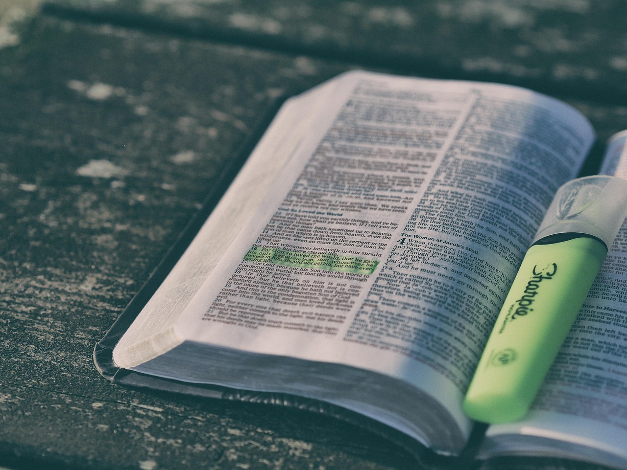 Bible open to Titus chapter 3 for verse-by-verse commentary and study