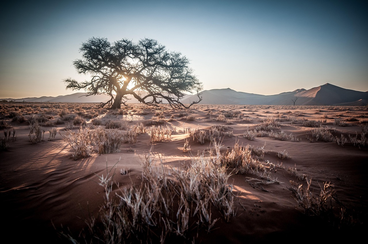 Bible open to Jeremiah chapter 17 for verse-by-verse commentary and study