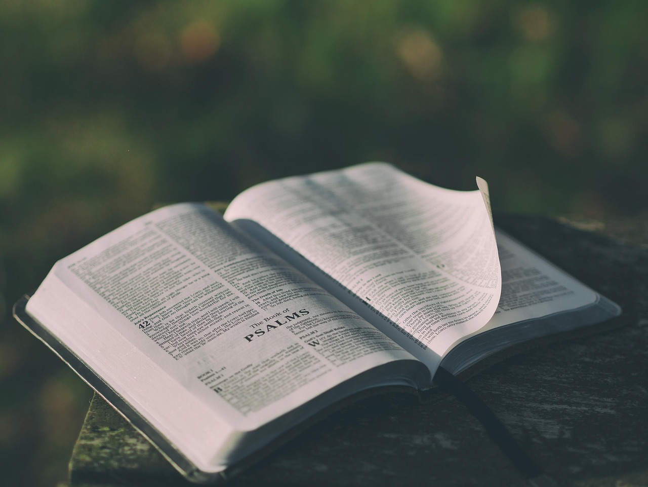 Bible open to Titus chapter 2 for verse-by-verse commentary and study