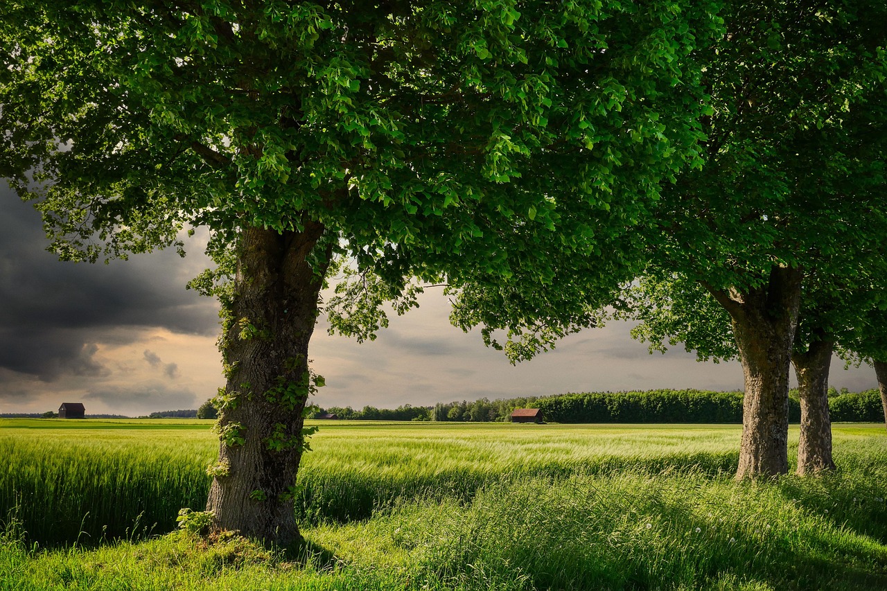 Bible open to Acts chapter 8 for verse-by-verse commentary and study