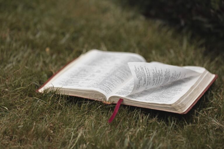 Bible open to Revelation chapter 12 for verse-by-verse commentary and study