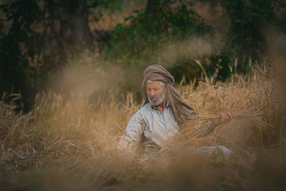 Bible open to Ruth chapter 2 for verse-by-verse commentary and study