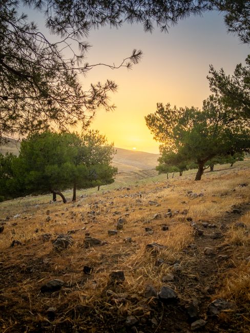 Bible open to Mark chapter 8 for verse-by-verse commentary and study