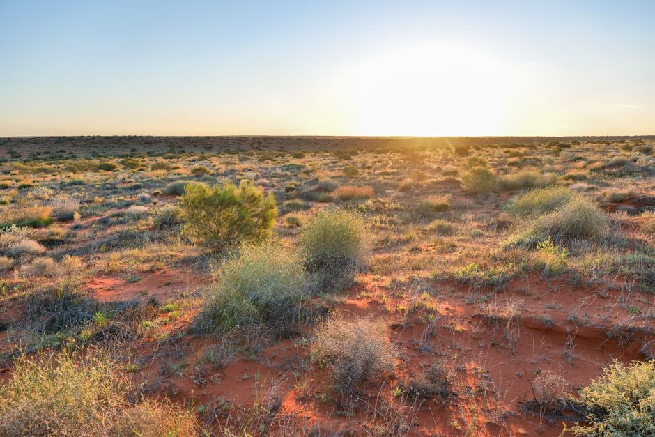 Bible open to Luke chapter 4 for verse-by-verse commentary and study