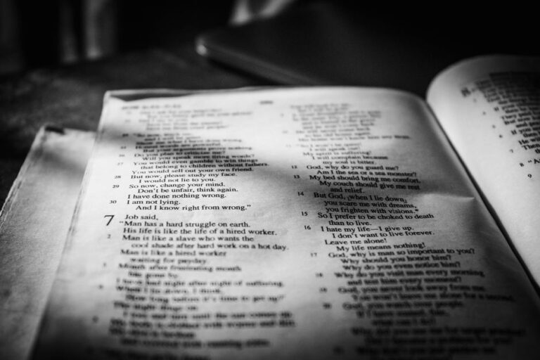 Bible open to Proverbs chapter 20 for verse-by-verse commentary and study