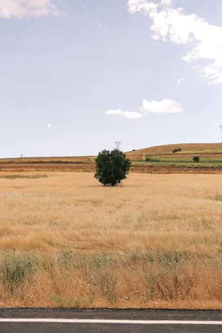 Bible open to Ruth chapter 1 for verse-by-verse commentary and study