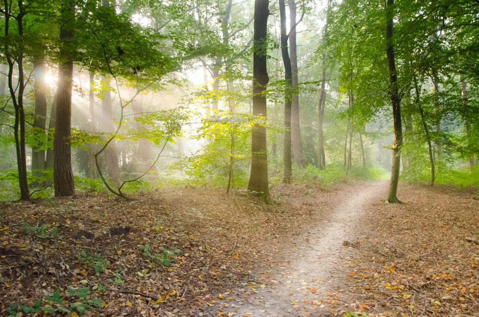 Bible open to Proverbs chapter 20 for verse-by-verse commentary and study