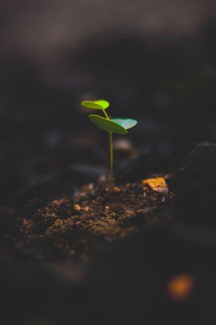 Bible open to 2 Corinthians chapter 5 for verse-by-verse commentary and study