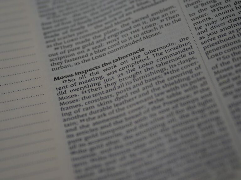 Bible open to Ruth chapter 1 for verse-by-verse commentary and study