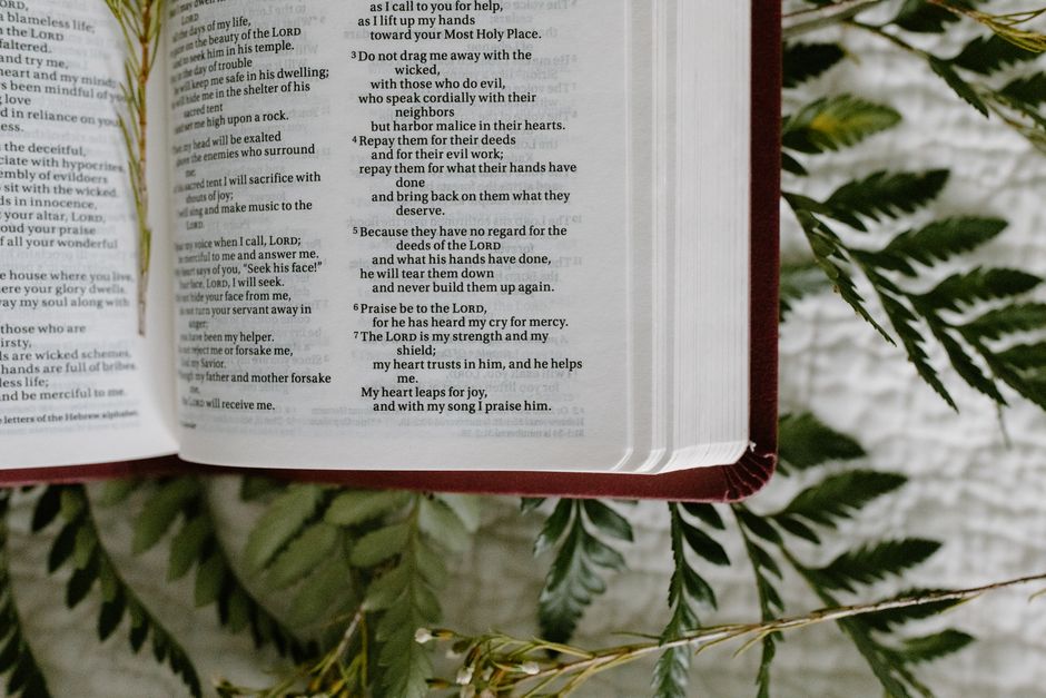 Bible open to Psalm chapter 8 for verse-by-verse commentary and study