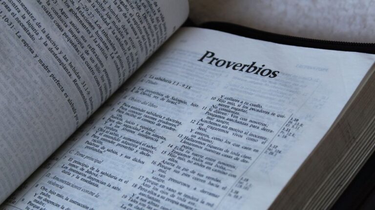Bible open to Proverbs chapter 29 for verse-by-verse commentary and study